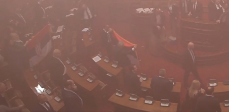 ВИДЕО: Погледнете како српската пратеничка е погодена по глава